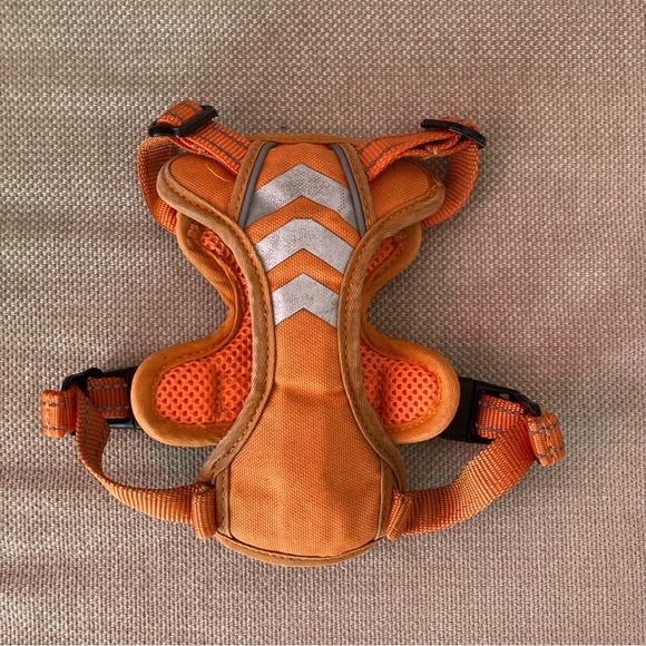 Le Chien Blanc Moe Harness, XS - Picture 2 of 3